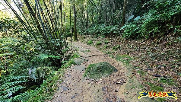 瑞三本礦-柴寮步道-天車間-獅子嘴奇岩-中坑古道出三貂嶺三層瀑布步道(猴硐-三貂嶺) (73).jpg