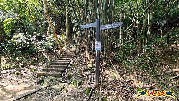 瑞三本礦-柴寮步道-天車間-獅子嘴奇岩-中坑古道出三貂嶺三層瀑布步道(猴硐-三貂嶺) (81).jpg