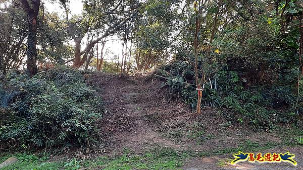 興善宮-大丘田東峰-水尾潭山西北峰-水尾潭山-老鷲尖山-老鷲尖南峰-湖東街5巷 (7).jpg