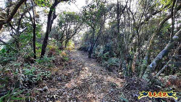 興善宮-大丘田東峰-水尾潭山西北峰-水尾潭山-老鷲尖山-老鷲尖南峰-湖東街5巷 (11).jpg