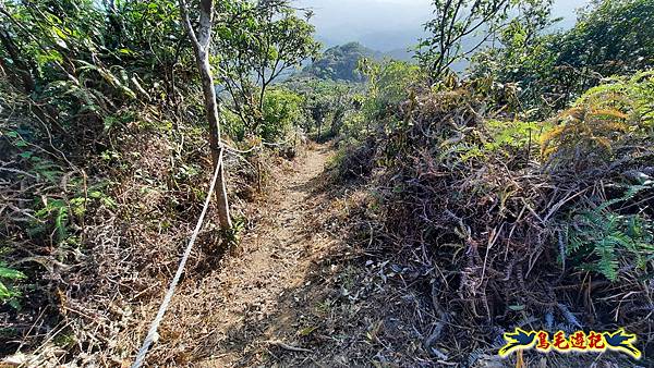 興善宮-大丘田東峰-水尾潭山西北峰-水尾潭山-老鷲尖山-老鷲尖南峰-湖東街5巷 (12).jpg