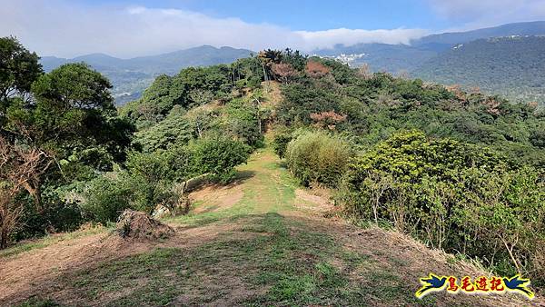 興善宮-大丘田東峰-水尾潭山西北峰-水尾潭山-老鷲尖山-老鷲尖南峰-湖東街5巷 (24).jpg