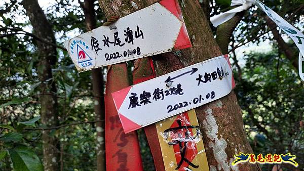 興善宮-大丘田東峰-水尾潭山西北峰-水尾潭山-老鷲尖山-老鷲尖南峰-湖東街5巷 (28).jpg