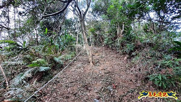 興善宮-大丘田東峰-水尾潭山西北峰-水尾潭山-老鷲尖山-老鷲尖南峰-湖東街5巷 (42).jpg