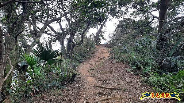 興善宮-大丘田東峰-水尾潭山西北峰-水尾潭山-老鷲尖山-老鷲尖南峰-湖東街5巷 (60).jpg