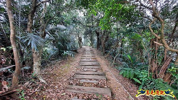 興善宮-大丘田東峰-水尾潭山西北峰-水尾潭山-老鷲尖山-老鷲尖南峰-湖東街5巷 (62).jpg