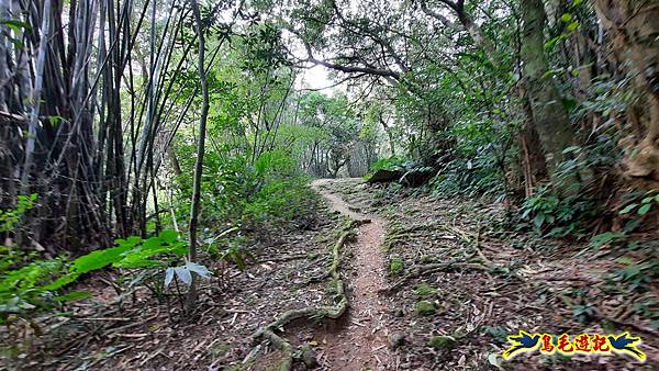 興善宮-大丘田東峰-水尾潭山西北峰-水尾潭山-老鷲尖山-老鷲尖南峰-湖東街5巷 (63).jpg