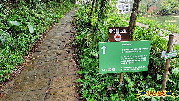 新竹橫山-墩子銃古道 (26).jpg