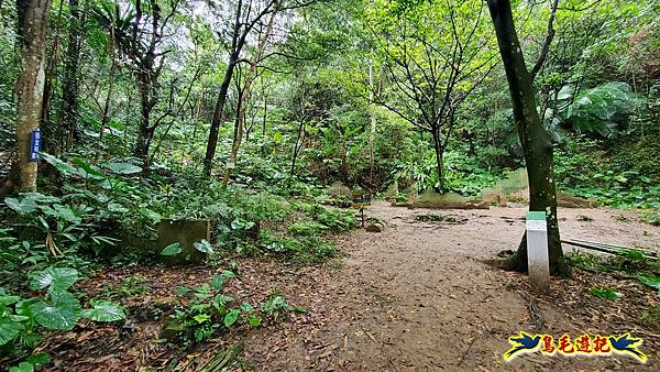 新竹橫山-墩子銃古道 (35).jpg