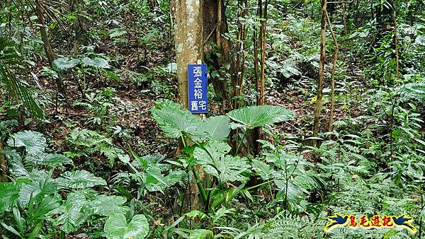 新竹橫山-墩子銃古道 (37).jpg