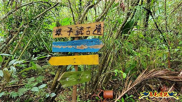 新竹橫山-墩子銃古道 (41).jpg