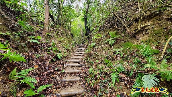 新竹橫山-墩子銃古道 (42).jpg