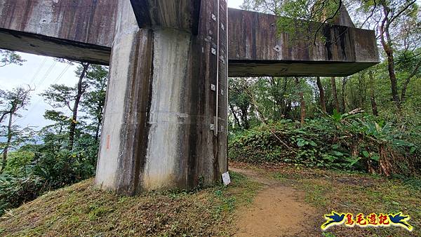 新竹橫山-墩子銃古道 (47).jpg