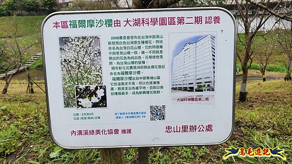 2024內湖樂活夜櫻季 (22).jpg