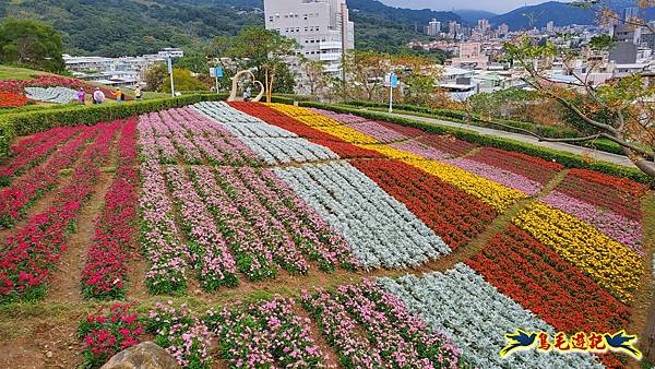 北投三層崎花海 (19).jpg