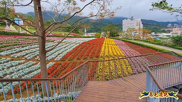 北投三層崎花海 (23).jpg