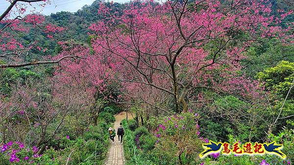 土城文筆山、山中湖、太極嶺、五城山、天上山至承天禪寺 (26).jpg