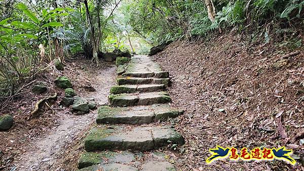 土城文筆山、山中湖、太極嶺、五城山、天上山至承天禪寺 (45).jpg