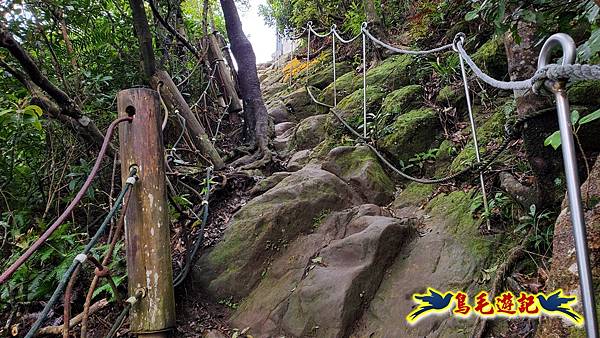 土城文筆山、山中湖、太極嶺、五城山、天上山至承天禪寺 (49).jpg