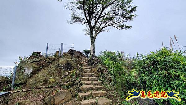 土城文筆山、山中湖、太極嶺、五城山、天上山至承天禪寺 (57).jpg