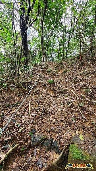 龜媽坑古道東線-大湖山-雪山尾稜-大湖越嶺古道(福隆-石城) (19).jpg