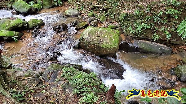 龜媽坑古道東線-大湖山-雪山尾稜-大湖越嶺古道(福隆-石城) (23).jpg