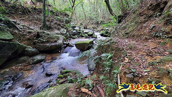 龜媽坑古道東線-大湖山-雪山尾稜-大湖越嶺古道(福隆-石城) (21).jpg