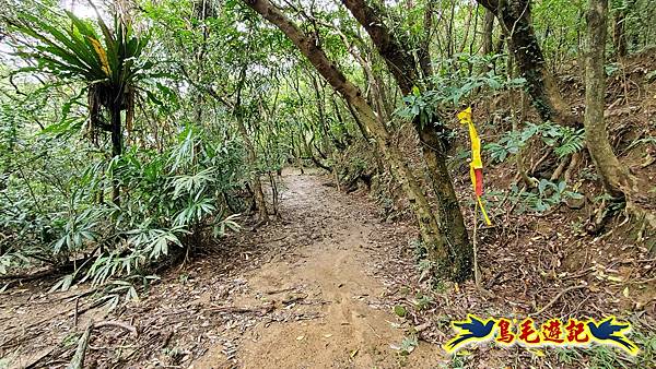 龜媽坑古道東線-大湖山-雪山尾稜-大湖越嶺古道(福隆-石城) (25).jpg