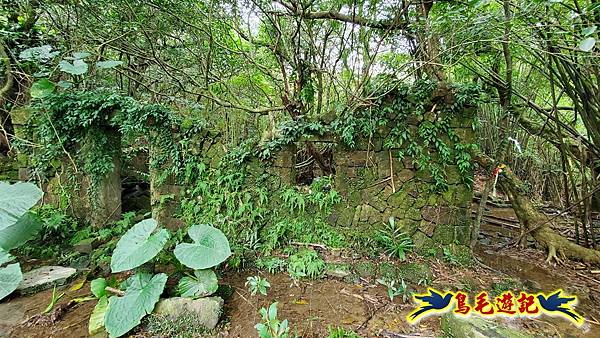 龜媽坑古道東線-大湖山-雪山尾稜-大湖越嶺古道(福隆-石城) (27).jpg