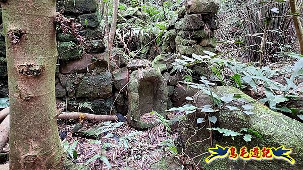 龜媽坑古道東線-大湖山-雪山尾稜-大湖越嶺古道(福隆-石城) (29).jpg