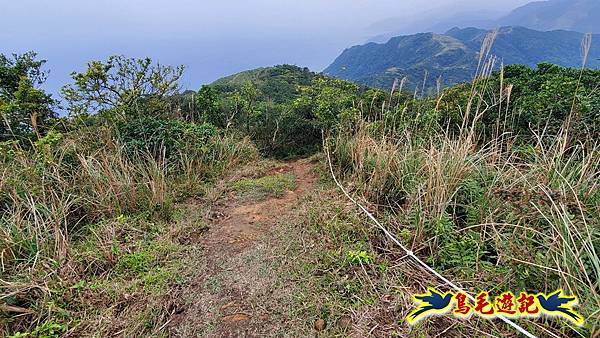 龜媽坑古道東線-大湖山-雪山尾稜-大湖越嶺古道(福隆-石城) (42).jpg