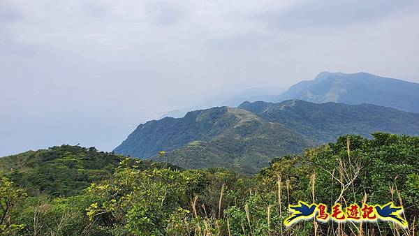 龜媽坑古道東線-大湖山-雪山尾稜-大湖越嶺古道(福隆-石城) (43).jpg