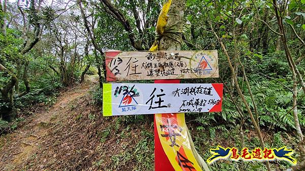 龜媽坑古道東線-大湖山-雪山尾稜-大湖越嶺古道(福隆-石城) (47).jpg