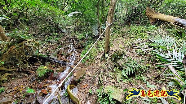 龜媽坑古道東線-大湖山-雪山尾稜-大湖越嶺古道(福隆-石城) (53).jpg