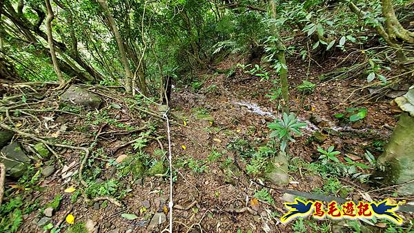 龜媽坑古道東線-大湖山-雪山尾稜-大湖越嶺古道(福隆-石城) (52).jpg