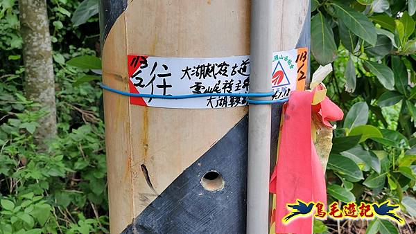 龜媽坑古道東線-大湖山-雪山尾稜-大湖越嶺古道(福隆-石城) (59).jpg