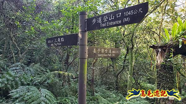 姜子寮古道-姜子寮山-姜子寮山步道P形 (7).jpg