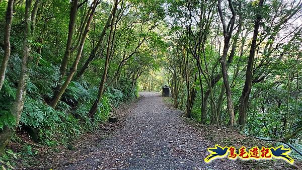 姜子寮古道-姜子寮山-姜子寮山步道P形 (15).jpg