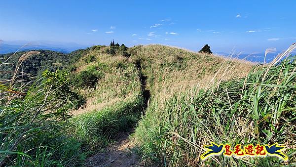 姜子寮古道-姜子寮山-姜子寮山步道P形 (24).jpg