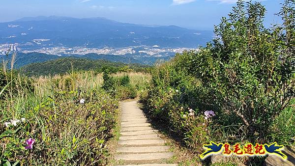 姜子寮古道-姜子寮山-姜子寮山步道P形 (30).jpg