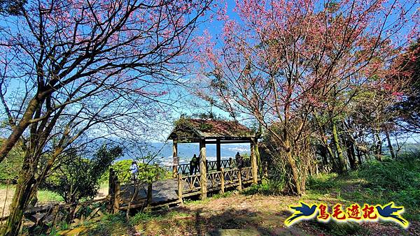 姜子寮古道-姜子寮山-姜子寮山步道P形 (35).jpg