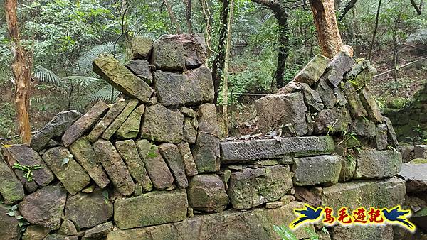 龜媽坑古道(西線)-中心崙-遠望坑古道(福隆-貢寮) (12).jpg