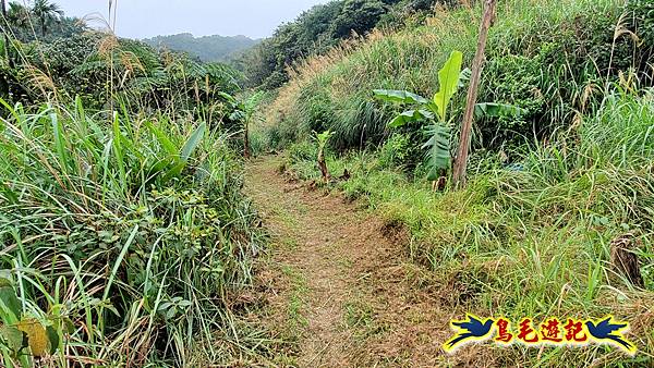 龜媽坑古道(西線)-中心崙-遠望坑古道(福隆-貢寮) (9).jpg