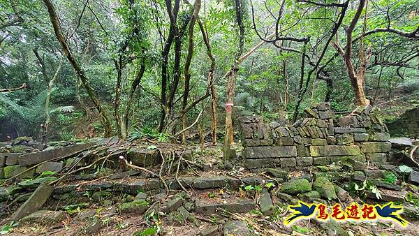 龜媽坑古道(西線)-中心崙-遠望坑古道(福隆-貢寮) (11).jpg