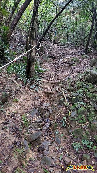 龜媽坑古道(西線)-中心崙-遠望坑古道(福隆-貢寮) (17).jpg