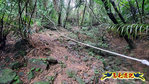 龜媽坑古道(西線)-中心崙-遠望坑古道(福隆-貢寮) (16).jpg