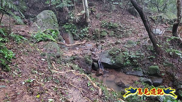 龜媽坑古道(西線)-中心崙-遠望坑古道(福隆-貢寮) (15).jpg