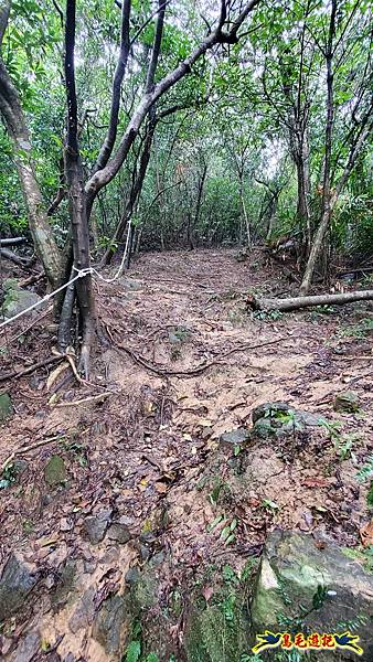 龜媽坑古道(西線)-中心崙-遠望坑古道(福隆-貢寮) (18).jpg