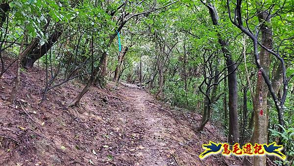 龜媽坑古道(西線)-中心崙-遠望坑古道(福隆-貢寮) (23).jpg