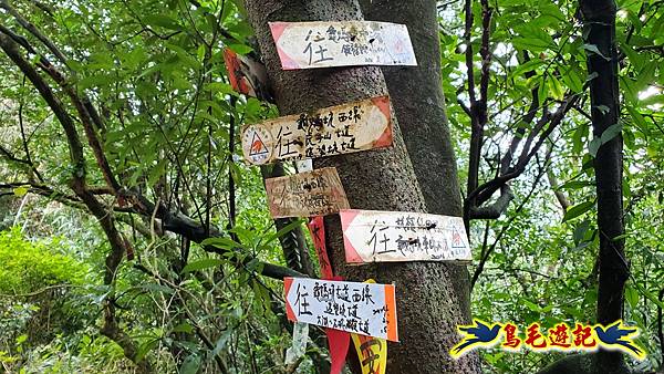 龜媽坑古道(西線)-中心崙-遠望坑古道(福隆-貢寮) (28).jpg